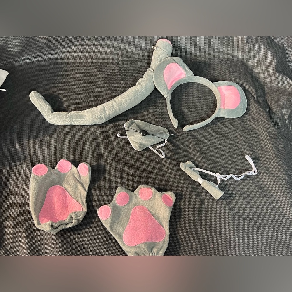 Mouse Costume Set